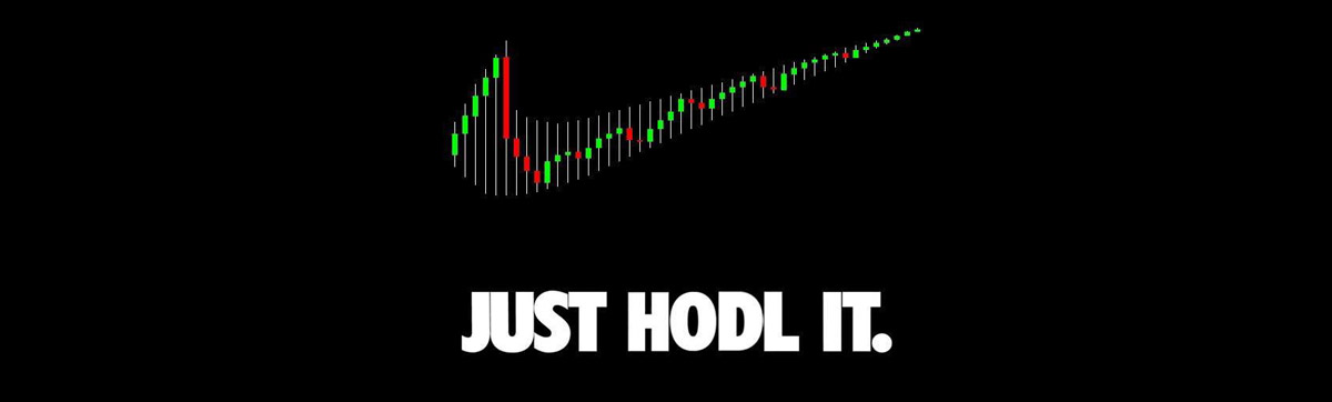 JUST HODL IT